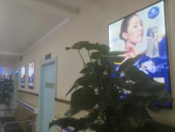 -成都军建医院·疤痕诊疗中心