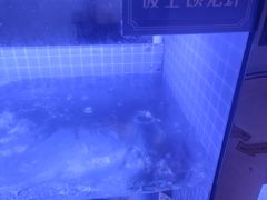-澳门豆捞(裕华东路店)