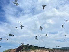 -海驴岛(荣成市)