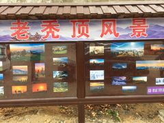 -老秃顶草原景区