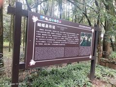 -蝴蝶泉公园