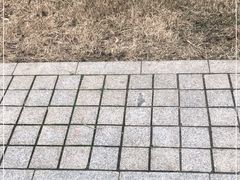 -洋湖国家湿地公园