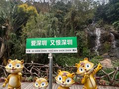 -青青世界
