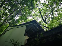 -上海醉白池公园