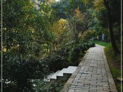 -上海佘山国家森林公园天马山园