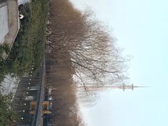 iphone_upload_pic-东华大学(松江校区)