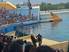 -秦皇岛乐岛海洋王国