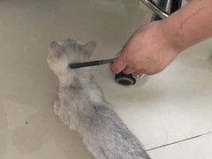 -美联众合24小时·皮肤科·外科·全科诊疗中心(华苑分院)