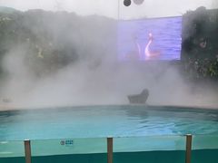 -广州长隆飞鸟乐园