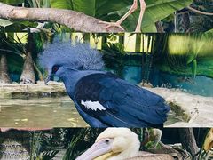 -海合安武汉极地海洋公园