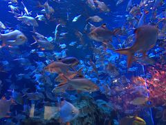 -成都浩海立方海洋公园