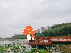 -丁香湖公园