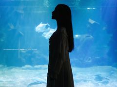 -石家庄海洋公园