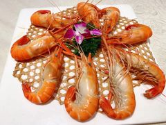 -御苑精品川菜馆(锦江店)