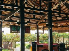 -渔家火锅·海鲜自助餐·演艺(亚龙湾天域酒店)