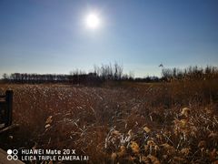 -野鸭湖国家湿地公园