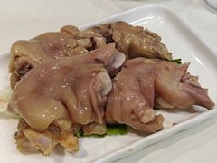 -丁老爷子苏香圆