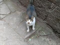 -金堂县云顶石城风景区