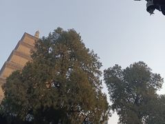 -大慈恩寺(大雁塔)