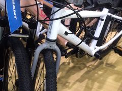 -GIANT捷安特自行车专卖店(金桥台儿庄路店)