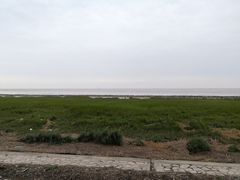 -南汇嘴观海公园