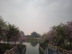 -海珠湖公园