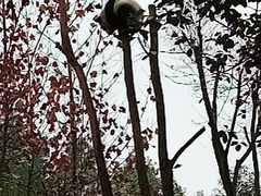 -都江堰中华大熊猫苑