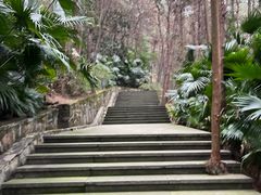 -铁山坪森林公园