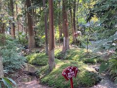 -成都市活水公园