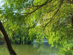 -深圳仙湖植物园