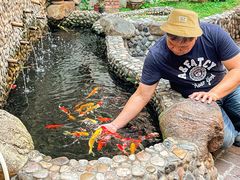 -茶米人台湾料理·精致快简餐