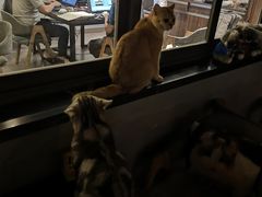 -咖法森林·咖啡  酒吧(天河店)