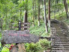 -莫干山风景区