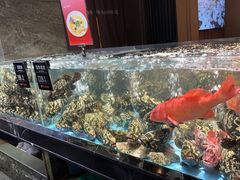 -紫阳海鲜楼·传承闽味(长乐路总店)