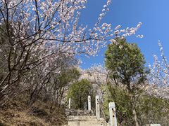 -北京凤凰岭
