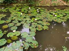 -中国科学院西双版纳热带植物园