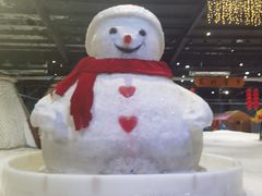 -宁波冰雪大世界(北仑区)