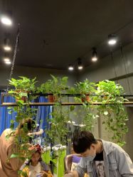 -藤野造型