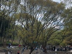 -东明山森林公园