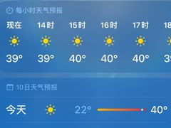 -绿叶子(春秀路店)