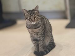 -竹园竹升面(西关总店)