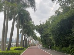 -南宁南湖公园