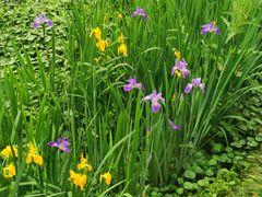 -东钱湖旅游度假区