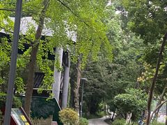 -成都市活水公园