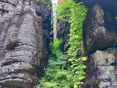 -梭布垭石林景区