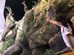 -陕西自然博物馆