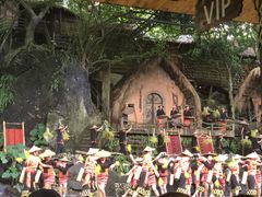 -海南槟榔谷黎苗文化旅游区