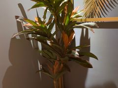 -得闲·高空SPA(东盟店)