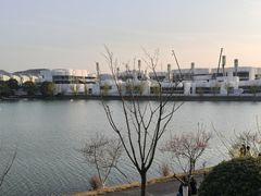 -羊山湖公园