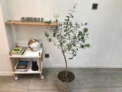 -Onirii Coffee(长乐路店)